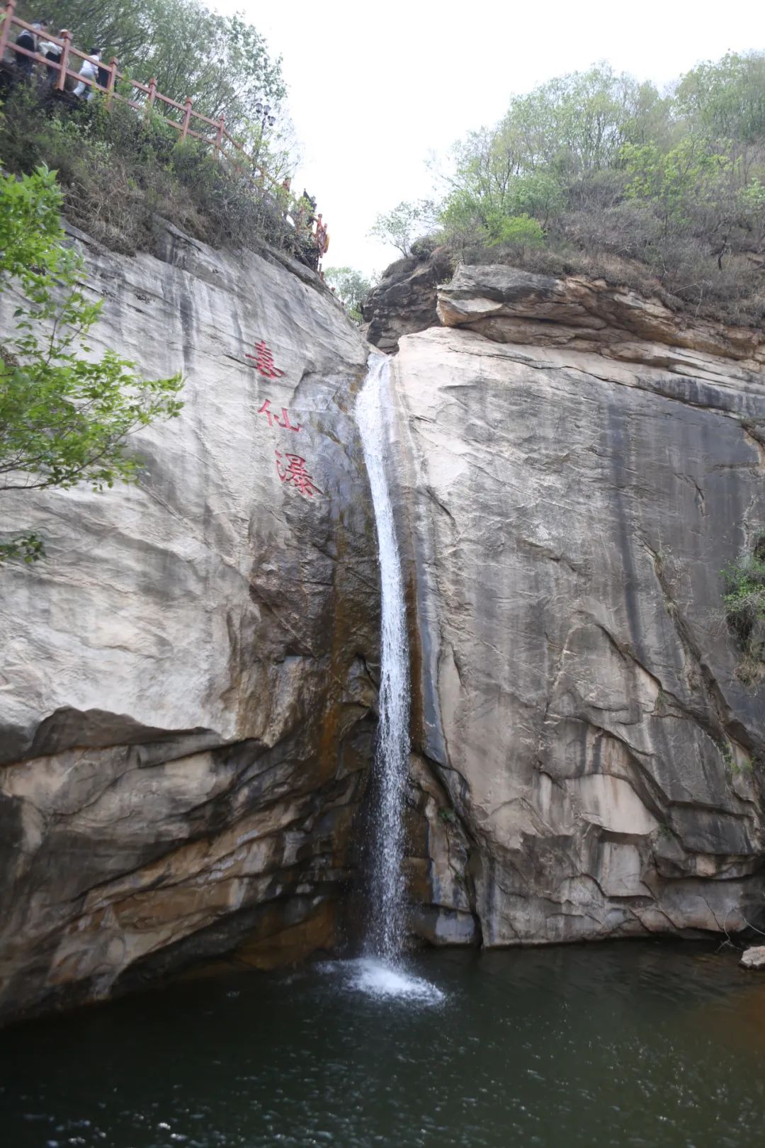 立足當“夏”，覓清涼 