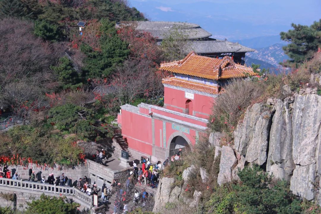我們一起,頂峰相見